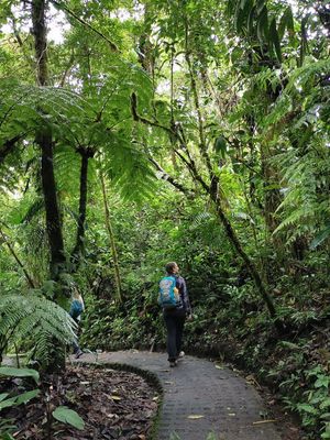 Monteverde